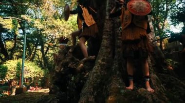 Yerli halk, sabah saatlerinde bir orman ortamında büyük bir ağacın etrafında ayin dansı yapıyorlar.