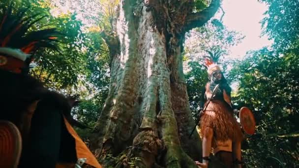 Mulher Iluminada Costas Com Escudo Posando Heroicamente Por Uma Árvore — Vídeo de Stock