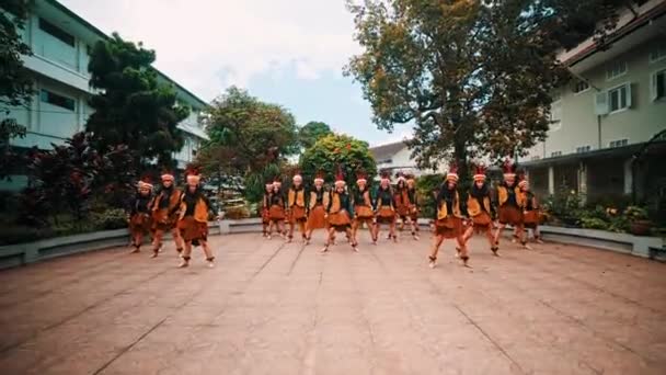 Bailarines Tradicionales Trajes Vibrantes Actuando Aire Libre Mostrando Patrimonio Cultural — Vídeo de stock