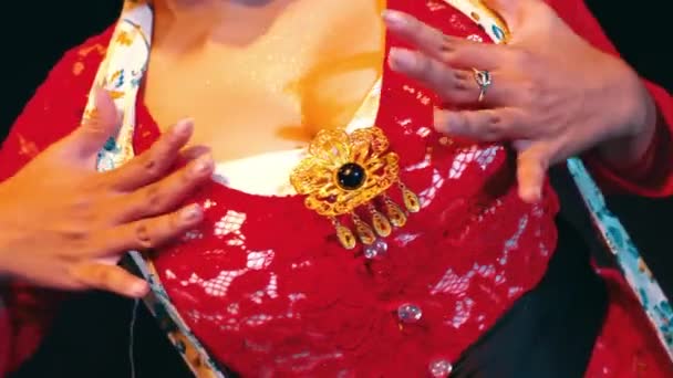 Крупним Планом Жінка Традиційному Вбранні Декоративною Брошкою Темну Ніч — стокове відео
