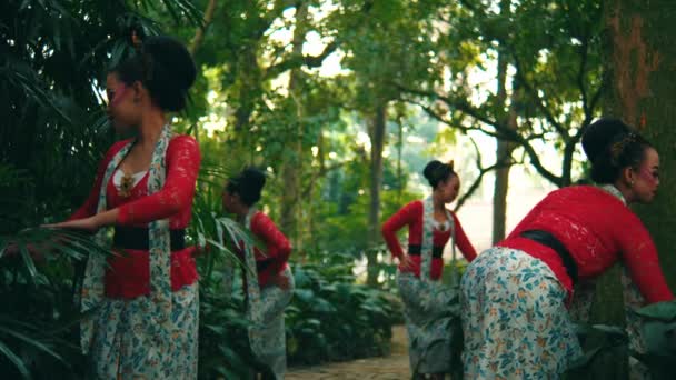 Mulheres Trajes Tradicionais Pegando Folhas Chá Jardim Exuberante Durante Manhã — Vídeo de Stock
