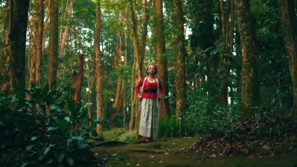 身穿红色上衣的女人站在茂密的绿林里 早上带着惊奇的心情往上看 — 图库视频影像