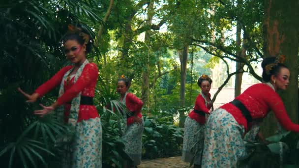 Mulheres Trajes Tradicionais Pegando Folhas Chá Exuberante Jardim Verde Pela — Vídeo de Stock