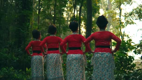 伝統的な服装の4人の女性が一緒に立って 日光の間に緑豊かな森に直面 — ストック動画