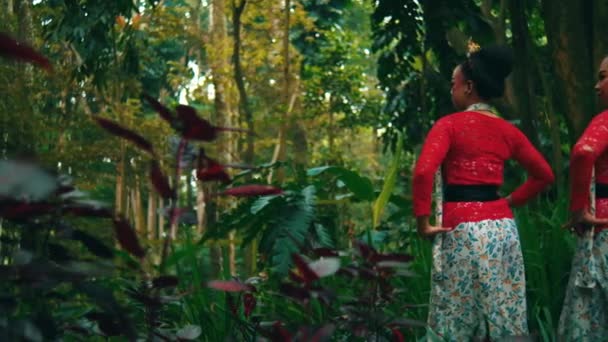 Trzy Kobiety Tradycyjnych Japońskich Kimonach Podziwiające Przyrodę Bujnym Ogrodzie Godzinach — Wideo stockowe