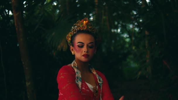 传统的身着服装的巴厘舞者 黄昏时分在森林里表演 — 图库视频影像