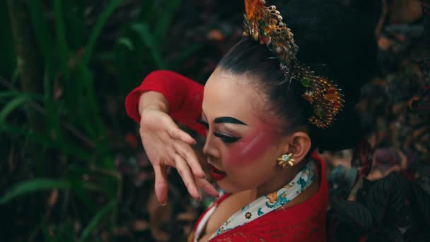 Mulher Elegante Traje Tradicional Com Maquiagem Intrincada Posando Artisticamente Contra — Vídeo de Stock