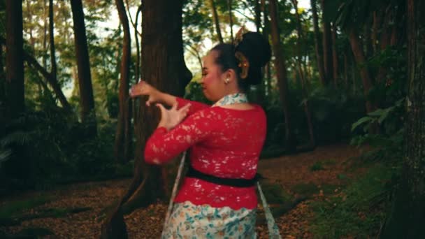 Mujer Vestida Rojo Bailando Caminando Por Exuberante Bosque Por Mañana — Vídeos de Stock