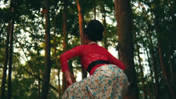 Mujer Con Atuendo Tradicional Pie Contemplativamente Bosque Durante Mañana — Vídeo de stock