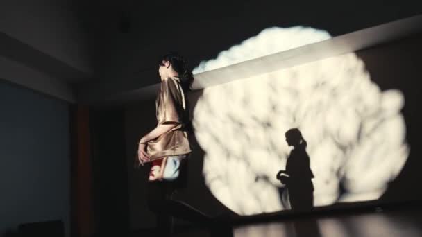 Χορευτής Στο Προσκήνιο Δραματική Σκιά Στη Σκηνή Κατά Διάρκεια Της — Αρχείο Βίντεο