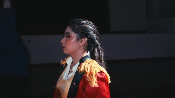 Side Profile Woman Historical Costume Dramatic Lighting Stage Night — Stock Video