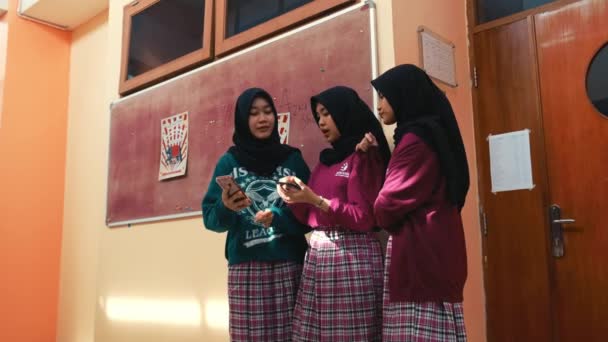 Three Young Women Hijabs Smiling Looking Smartphone Together Indoors Morning — Stock Video