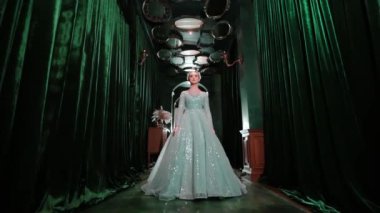 Kraliçe gibi giyinmiş bir manken koyu yeşil bir koridorda dramatik bir şekilde poz veriyor. Yukarı bakarken tacına dokunuyor. Fantezi konsepti.