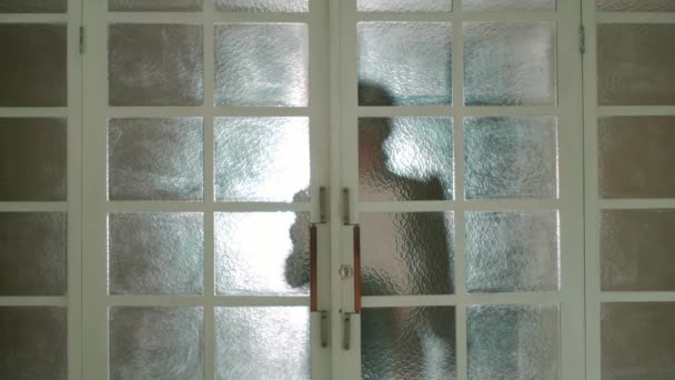 Silhouette Person Standing Frosted Glass Doors Creating Sense Mystery Privacy — Stock Video