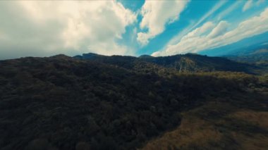 Gün ışığında gökyüzünde dramatik bulutlar olan yemyeşil bir ormanın havadan görünüşü