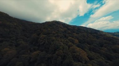 Gün ışığında bulutlu bir gökyüzü altında sonbahar renkleriyle dolu sık bir ormanın havadan görünüşü.