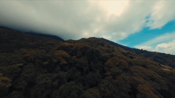 Mglisty Górski Krajobraz Bujną Zielenią Pod Zachmurzonym Niebem Ciągu Dnia — Wideo stockowe