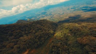 Gün ışığında bulutlu bir gökyüzünün altında geniş ovalara uzanan yemyeşil bir ormanın havadan görünüşü.