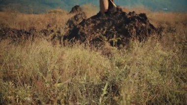 Geleneksel kraliyet kıyafeti giymiş bir adamın geniş açılı görüntüsü. Kuru otlar ve dağlarla çevrili siyah lav kayalarının tepesinde güvenle duruyor..