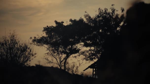 Silhouet Bomen Huis Schemering Met Een Warme Hemel Bij Daglicht — Stockvideo