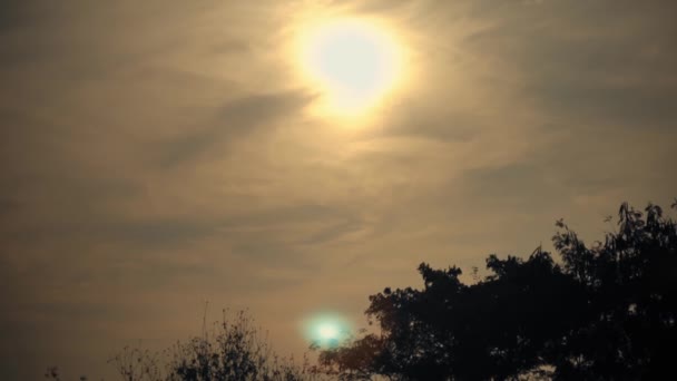 Dramatischer Sonnenuntergangshimmel Mit Baumsilhouette Und Warmen Tönen Geeignet Für Hintergründe — Stockvideo