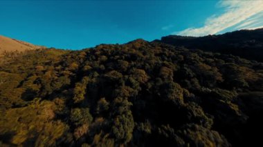 Altın saatinde, açık bir gökyüzünün altında, gür ağaç gölgelikleriyle dolu, yemyeşil bir ormanın havadan görünüşü gün ışığında doğal manzaraların güzelliğini gözler önüne seriyor.