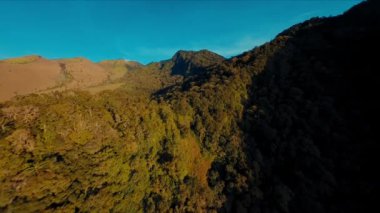 Gün ışığında altın saat boyunca arka planda dağ sıraları olan yemyeşil bir ormanın havadan görünüşü.