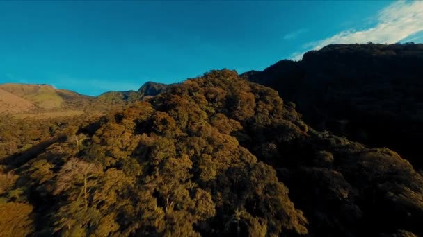 在白天 空中俯瞰青翠的群山 秋天的叶下是清澈的蓝天 — 图库视频影像