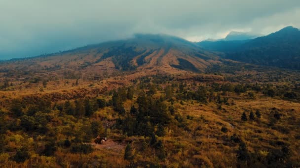 Mglisty Górski Krajobraz Jesiennymi Kolorami Zachmurzonym Niebem Świetle Dnia — Wideo stockowe