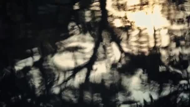 Abstracte Waterreflectie Textuur Met Warme Gouden Tinten Geschikt Voor Achtergronden — Stockvideo