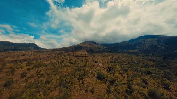 Вид Повітря Величезний Ліс Горами Під Хмарним Небом Під Час — стокове відео