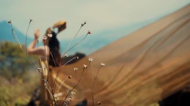 Gün ışığında insanın doğal ortamında bulanık bir geçmişi olan narin kır çiçeklerine odaklan.