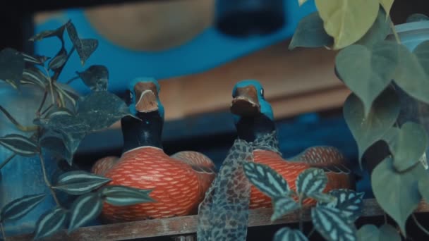 Due Figurine Ornamentali Uccelli Appollaiate Una Mensola Legno Mezzo Fogliame — Video Stock