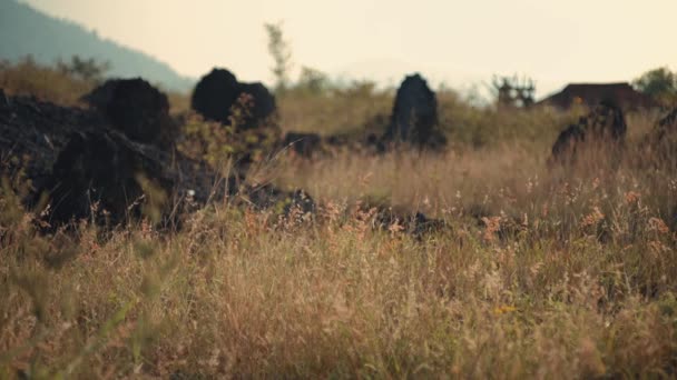 日光の間に柔らかい焦点を当てた山の背景に対して乾燥した草と散らばった岩のセレンメドウ — ストック動画
