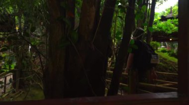 Ağaçtan bir köprüde, yemyeşil yeşillikler ve arka planda bir kulübe olan yemyeşil bir ormanda duran bir adam.