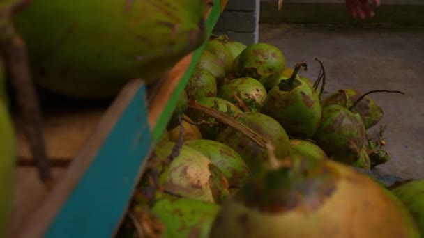 Cocos Verdes Frescos Uma Banca Mercado Fundo Frutas Tropicais Durante — Vídeo de Stock