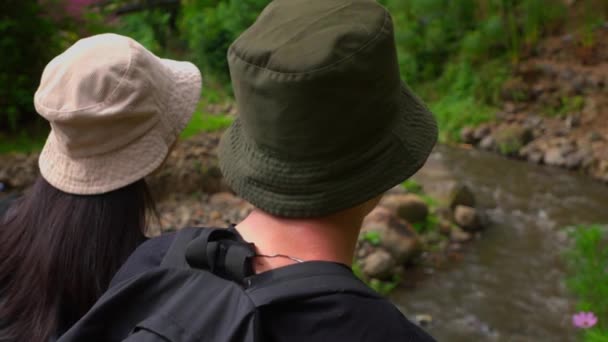 Visão Traseira Casal Usando Chapéus Olhando Para Córrego Cenário Verde — Vídeo de Stock
