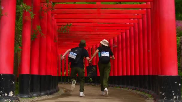 在日本一座神龛里 两个人穿过一个充满活力的红色鸟门隧道 象征着传统 也象征着早晨的旅行 — 图库视频影像