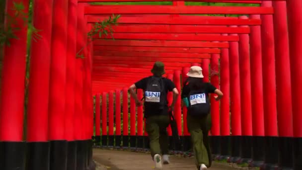 两个人穿过日本传统的红色鸟门通道 描绘了上午的旅游和文化 — 图库视频影像