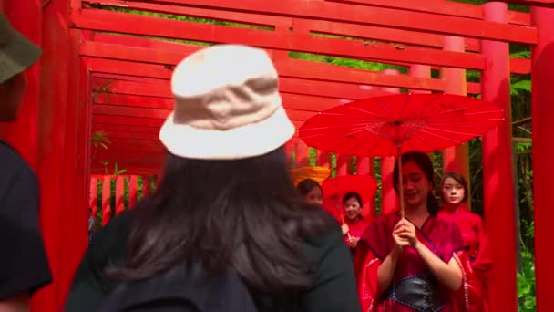 Tourists Walking Traditional Red Torii Gate Tunnel Colorful Umbrellas Exploring — Stock Video