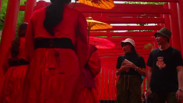Besökare Traditionell Klädsel Med Paraplyer Vid Pulserande Röd Helgedom Dagsljus — Stockvideo