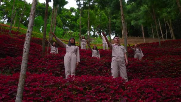 Grupo Personas Practicando Yoga Entre Vibrantes Follajes Rojos Entorno Forestal — Vídeo de stock