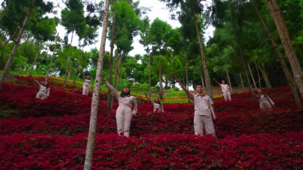 Ομάδα Ανθρώπων Που Ασκούν Γιόγκα Ένα Γαλήνιο Κόκκινο Φυλλώδες Δάσος — Αρχείο Βίντεο