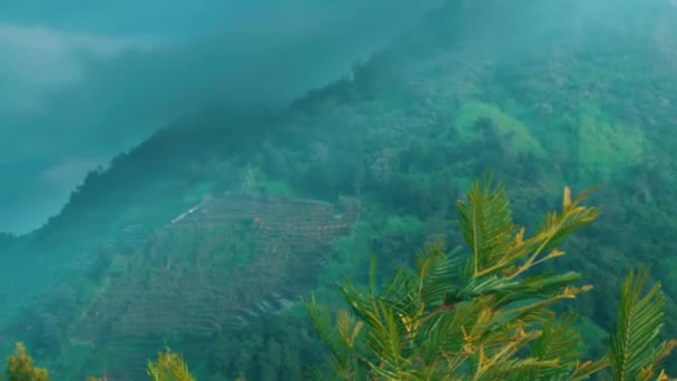 多雾的山景 绿叶郁郁葱葱 山坡陡峭 让人想起早晨的宁静与自然美景 — 图库视频影像