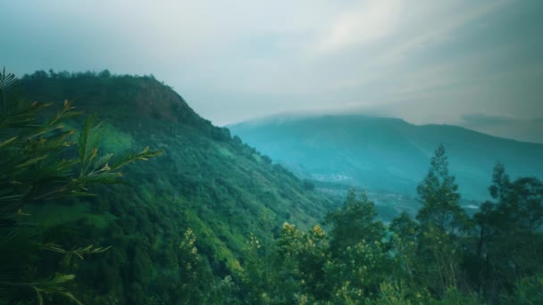 Paisaje Montañoso Brumoso Con Exuberante Vegetación Árboles Fondo Sereno Naturaleza — Vídeos de Stock