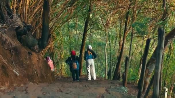 两名徒步旅行者在茂密的森林小径上行走 周围环绕着绿树成荫 — 图库视频影像