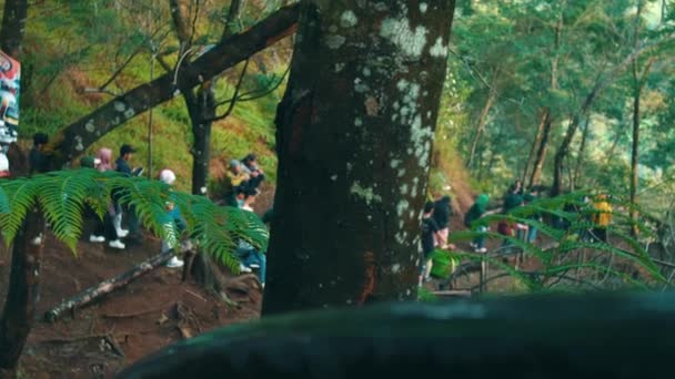 Grupo Pessoas Desfrutando Dia Uma Floresta Verdejante Com Samambaias Árvores — Vídeo de Stock