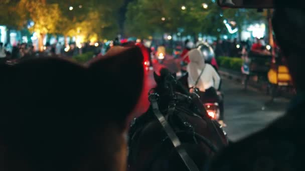 Pohled Koňská Záda Rušné Městské Ulici Noci Rozmazanými Světly Provoz — Stock video