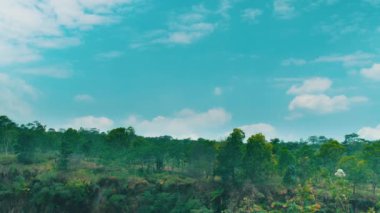 Yoğun yeşil ağaçlardan oluşan canlı bir manzara bir tepenin altında güzel mavi bir gökyüzü ve gün boyunca beyaz kabarık bulutlar..