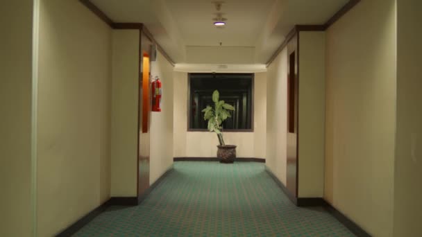 ホテルの内側に装飾的な植物やアートワーク 対称的な視点を持つ空のホテルの廊下 — ストック動画